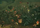 Franz Michael Sigismund von Burgau the Elder, Lawn with strawberries and fly agari