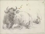 Pieter Jan Guise, Liggend rund en detail van de achterpoten