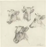 Pieter Jan Guise, Vier studies van een koeienkop