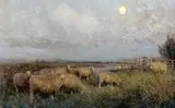 John Pedder, Moonrise