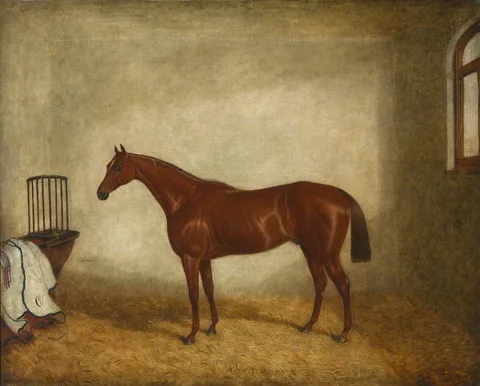 Benjamin Herring II, Hermit, Winner of the 1867 Derby, in a Stable