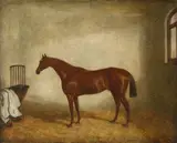 Benjamin Herring II, Hermit, Winner of the 1867 Derby, in a Stable