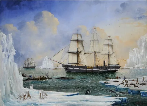 James H. Wheldon, Diana and Chase in the Arctic