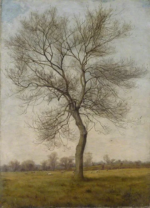James Hey Davies, Study of an Ash Tree in Winter