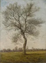 James Hey Davies, Study of an Ash Tree in Winter