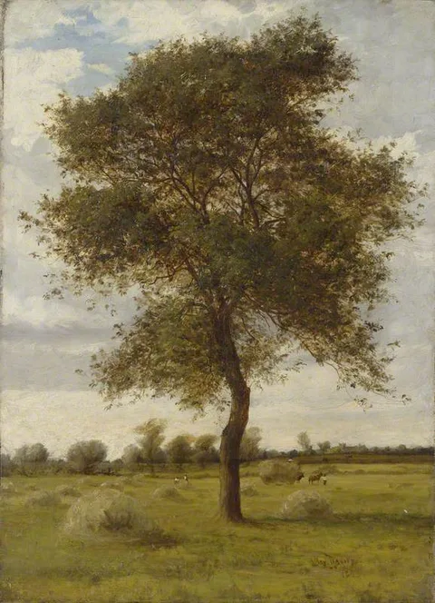 James Hey Davies, Study of an Ash Tree in Summer