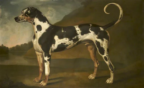 Thomas Stringer, A Great Dane, called 'Turpin'