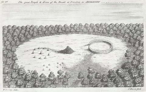 John Harris, The great temple & grove of the druids at Trerdrew in Anglesey