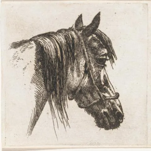 Abraham Hendrik Winter, Paardenhoofd met halster