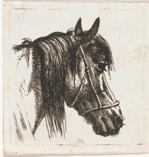 Abraham Hendrik Winter, Paardenhoofd met halster