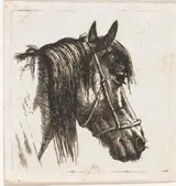 Abraham Hendrik Winter, Paardenhoofd met halster