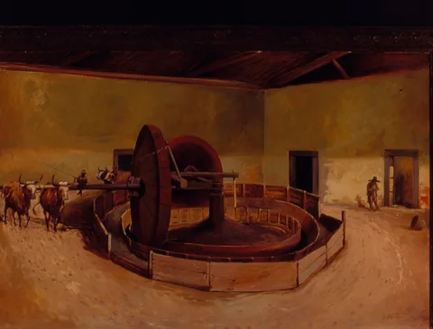 Alfredo Norfini, Carretão para beneficiar café - Campinas, 1850