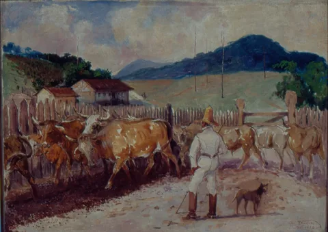 Alfredo Norfini, Descascamento de café a pata do boi, 1820