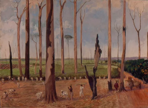Alfredo Norfini, Fazenda Cachoeira - Canavial, 1840