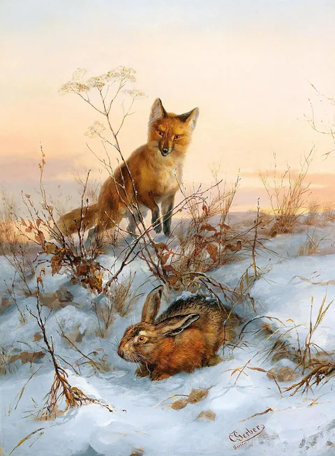 Carl Gerber, Fox and Hare