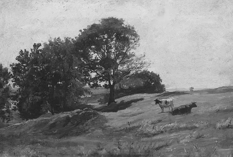 Thomas R. Robinson, Hillside in Summer