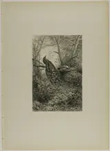 after Karl Bodmer, Peacocks on a Bough