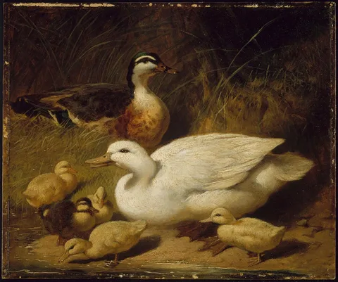 John F. Herring, Ducks and Ducklings