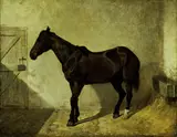 John F. Herring, Horse