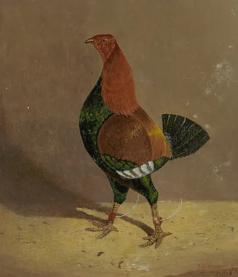 John F. Herring, Fighting Cocks: a Dark-Breasted Fighting Cock, Facing Left