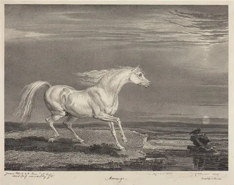R. Ward, Marengo