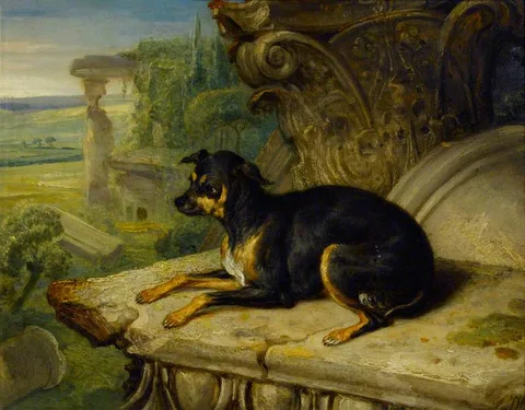 R. Ward, 'Fanny', a Favourite Dog