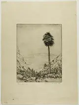 Wallace De Wolf, Palm Springs