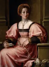 Pier Francesco di Jacopo Foschi, Portrait of a Lady
