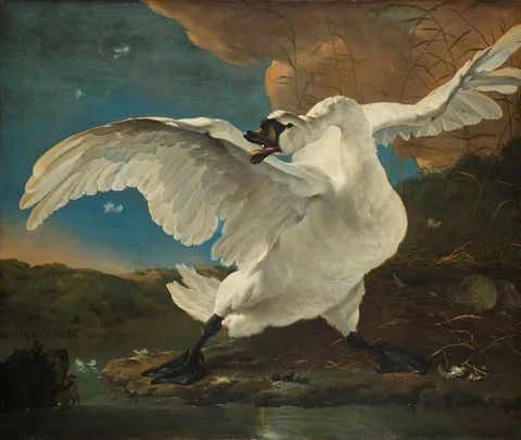 Jan Asselijn, The Threatened Swan