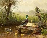 Carl Jutz der Ältere, Untitled