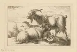 Joseph Roos, Geit en twee schapen