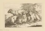 Joseph Roos, Geit en twee schapen