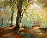 Peter Johan Valdemar Busch, A spring forest.