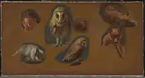 Jacques-Laurent Agasse, Studies of a Fox, a Barn Owl, a Peahen, and the Head of a Young Man
