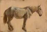 Jacques-Laurent Agasse, Study of a Grey Horse