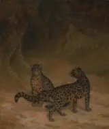 Jacques-Laurent Agasse, Clouded Leopard