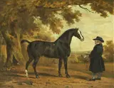 Thomas Gooch, A Stallion with Its Groom