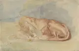 Charles Edme Saint Marcel, Slapende leeuw