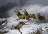 Byron Webb, Five Stags fleeing and a Dead Doe lying in the Snow