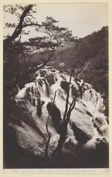 Francis Bedford, Bettw-s-y Coed, The Swallow Falls from Above