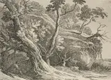 Richard Cooper Junior, Specimens of Polyautography:  Man Seated under an Oak
