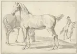 Anthony Jacobus Offermans, Twee paarden in een weide, rechts een ruiter