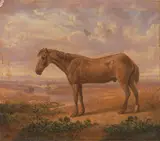 Charles Towne, Old Billy, a Draught Horse, Aged 62