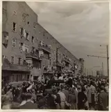 Willem van de Poll, Bevrijding Amsterdam