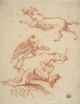 Abraham Hondius, Sketches of Romping Dogs