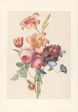 Henriëtte Geertruida Knip, Bouquet