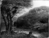 Conrad Gessner, Untitled