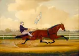 Charles S. Humphreys, Budd Doble Driving Goldsmith Maid at Belmont Driving Park
