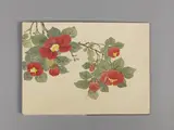 Dong Gao, Untitled