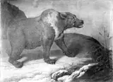 Philipp Ferdinand Hamilton, A Bear in a Winter Landscape